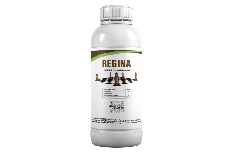 Regina