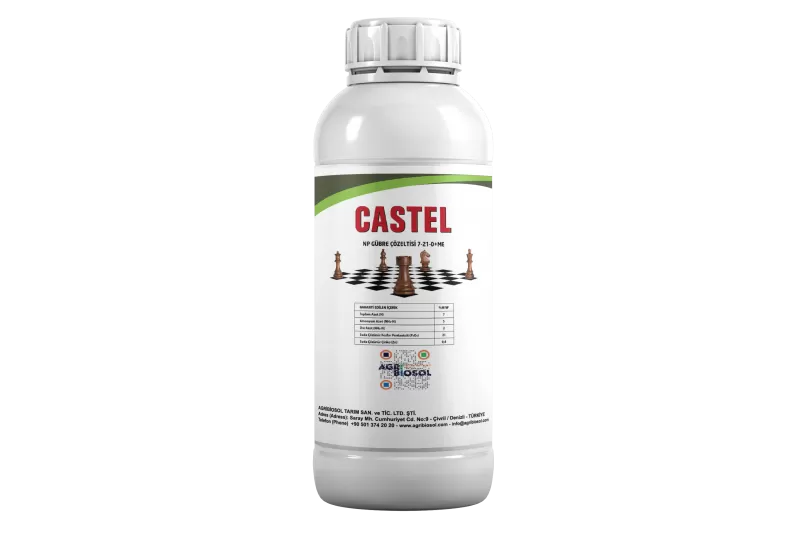 Castel