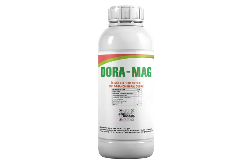 Dora - Mag