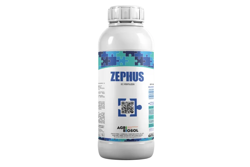 Zephus