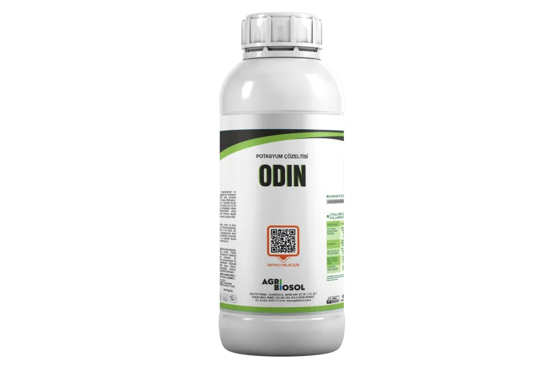 Odin